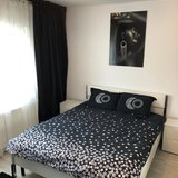 Doamna Ghica, vis-a-vis de Regina Maria